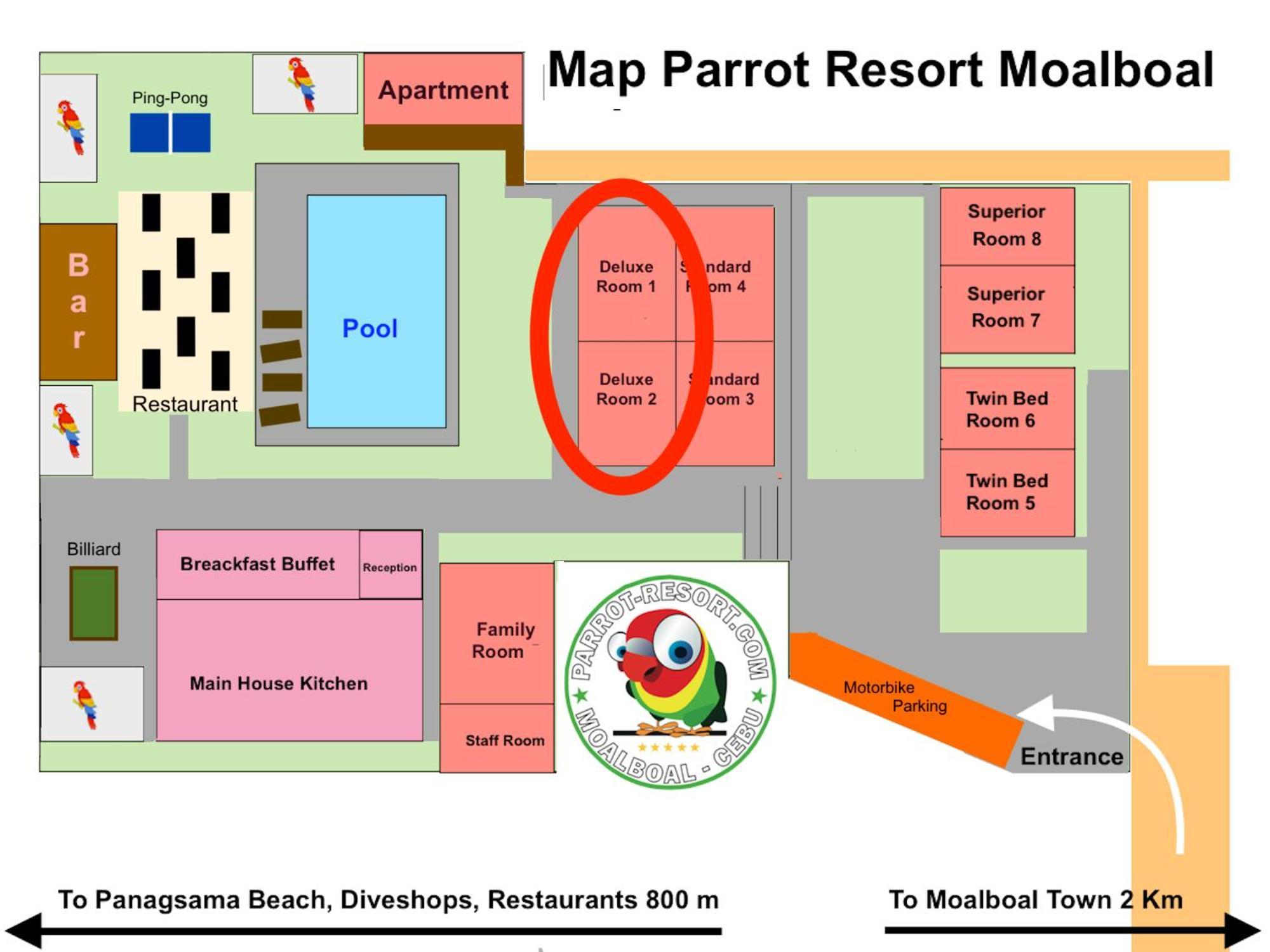 Parrot Resort Moalboal Quarto foto