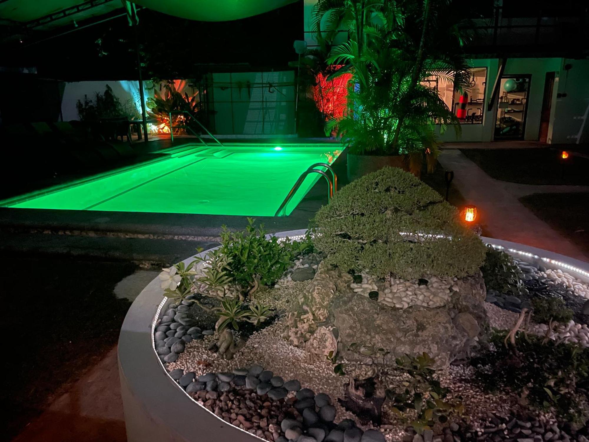 Parrot Resort Moalboal Exterior foto