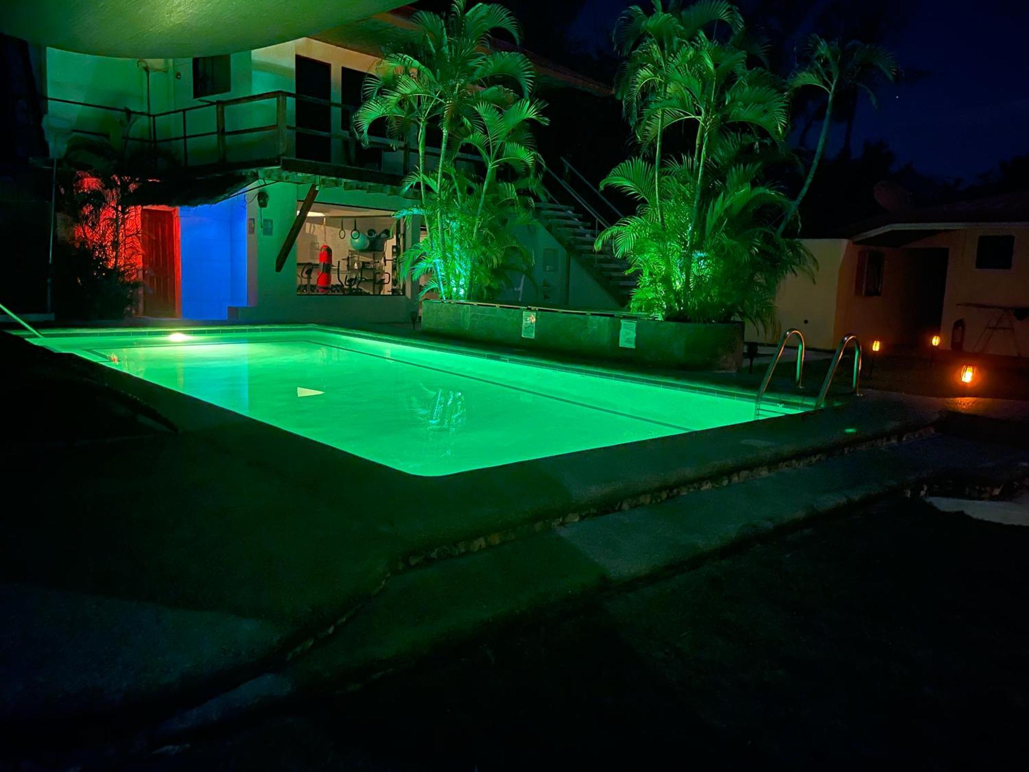 Parrot Resort Moalboal Exterior foto