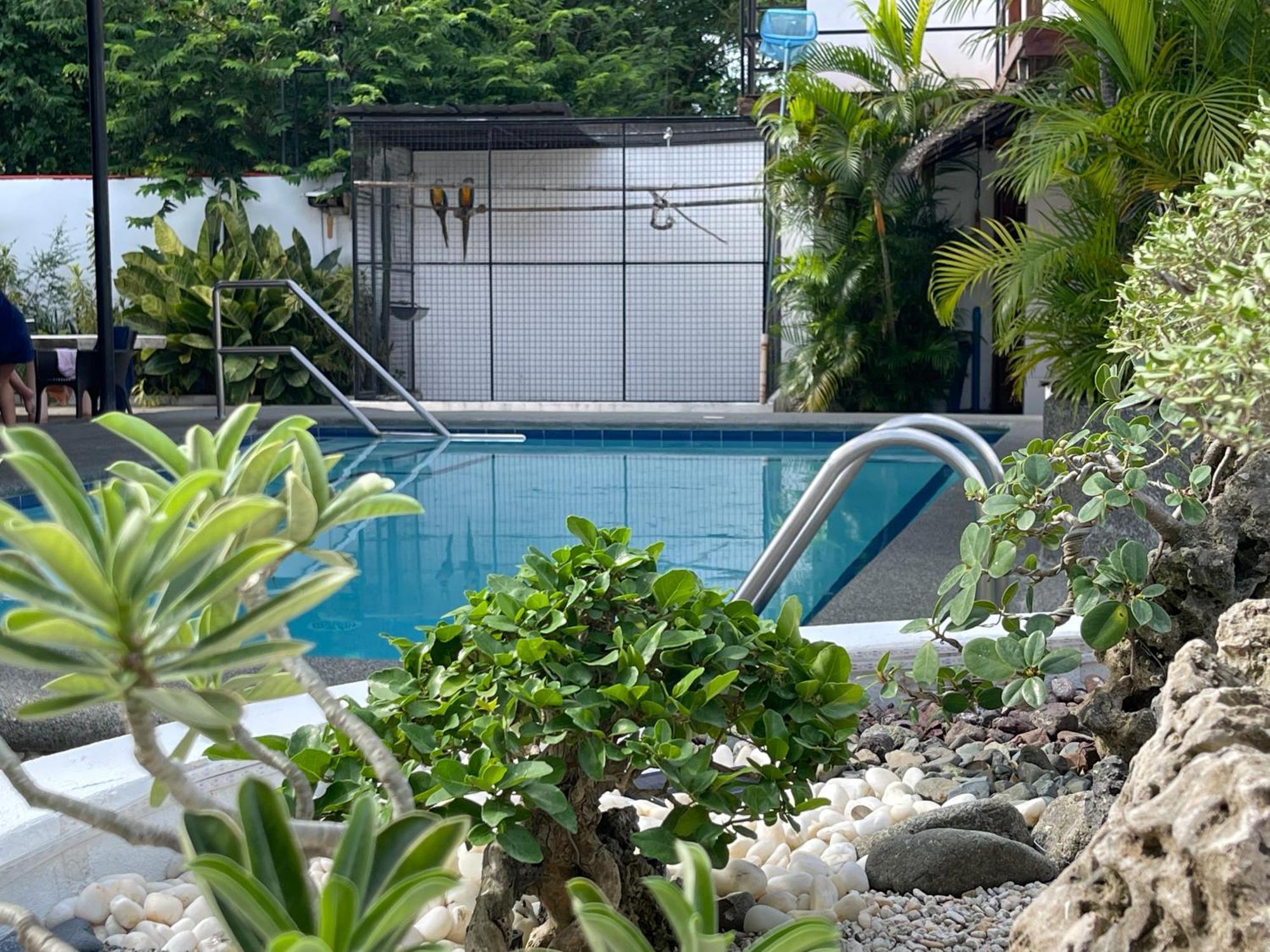 Parrot Resort Moalboal Exterior foto