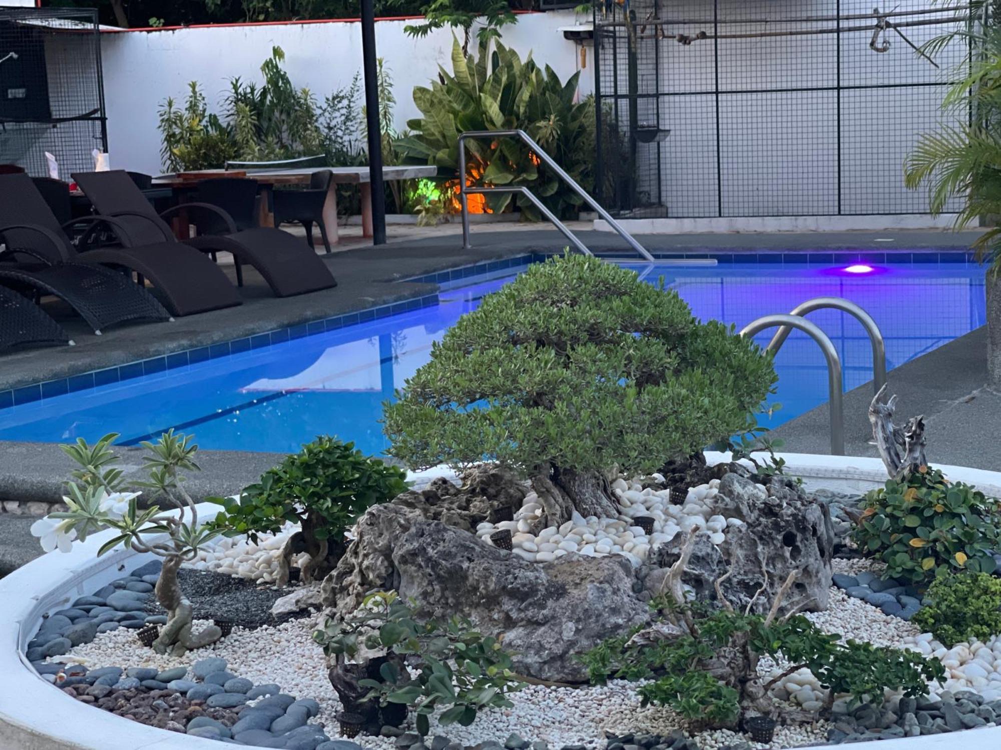 Parrot Resort Moalboal Exterior foto